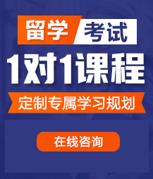 嗯啊操骚逼视频留学考试一对一精品课